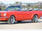 Thumbnail Photo 64 for New 1964 Ford Mustang